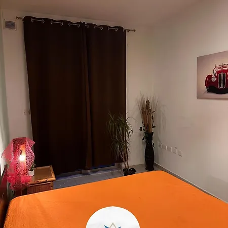 Albatross * St. Paul's Bay